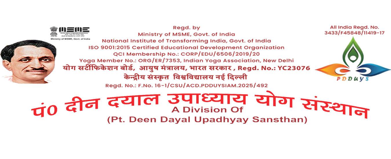 PDDUYS New